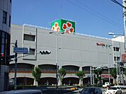 ライフ国分店(スーパー)まで1319m