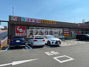 スギ薬局柏原玉手店(ドラッグストア)まで1749m