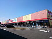 万代柏原本郷店(スーパー)まで420m
