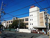柏原市立柏原東小学校(小学校)まで803m