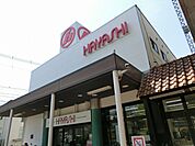 はやし八尾モール店(スーパー)まで1202m
