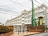 周辺：足立区立東島根中学校 徒歩13分。 1000m