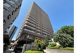 物件画像 ビューネタワー平井