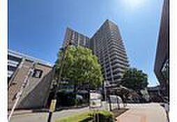 物件画像 ビューネタワー平井
