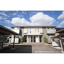 D-room椿