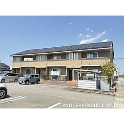 ファインコート