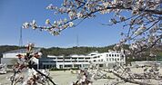 陶都中学校 3100m