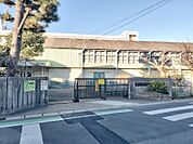 大穴小学校　徒歩約10分　約795ｍ
