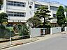 周辺：八千代市立高津小学校 徒歩8分。 590m