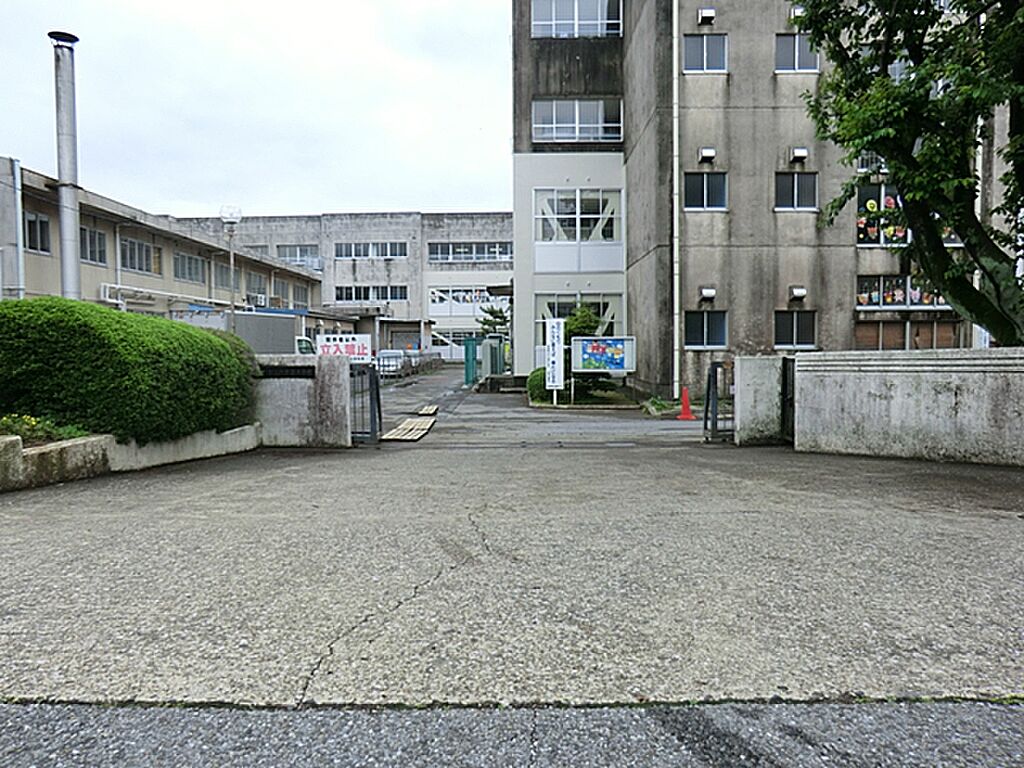 Image 50