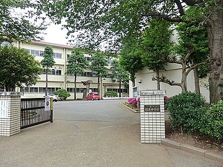 稲毛中学校 徒歩約11分(913m)