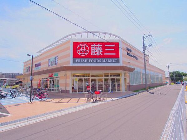 画像24:【スーパー】藤三 向洋店まで678ｍ