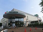 マルエツ金杉店 徒歩13分。スーパー 1020m