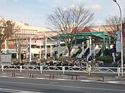 コルトンプラザ 1200m