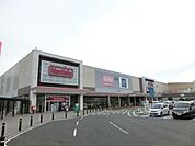 イオン 1559m