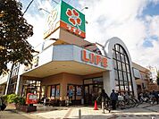 ライフ松戸二十世紀ヶ丘店 徒歩3分。スーパー 180m
