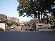千葉大学 1370m