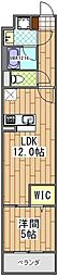 千葉市緑区おゆみ野3丁目マンション 1LDKの間取図画像