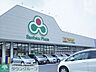 周辺：マツモトキヨシ市原店 徒歩10分。ドラックストア 790m