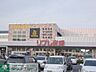 周辺：リブレ京成 1000m