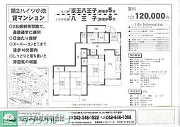 第2ハイツ小池 3DKの間取図画像