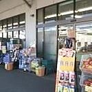 ドラッグセイムス下川入店 1900m
