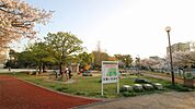 山王公園（831m）