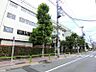 周辺：板橋区立中根橋小学校まで464m