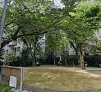 神泉児童遊園地（264m）