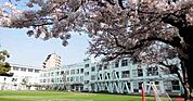 品川区立大井第一小学校（797m）