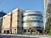 イトーヨーカドー グランツリー武蔵小杉店（295m）