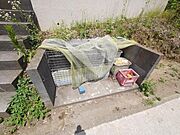 ★お部屋探しは株式会社タウンハウジング東京まで★