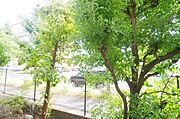 ★お部屋のお探しはタウンハウジング稲田堤店まで★