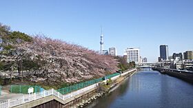 プレミアムキューブ西大島（PREMIUM　CUBE　西大島） 405 ｜ 東京都江東区大島２丁目13-24（賃貸マンション1K・4階・26.59㎡） その9