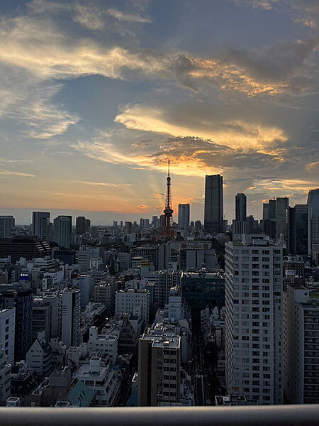 アクティ汐留 2506｜東京都港区海岸１丁目(賃貸マンション1K・25階・45.21㎡)の写真 その17