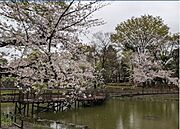 文庫の森[350m]