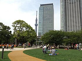 パークアクシス錦糸公園 508 ｜ 東京都墨田区錦糸４丁目10-4（賃貸マンション1LDK・5階・38.04㎡） その19