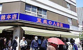 イプセ日本橋 201 ｜ 東京都中央区日本橋蛎殻町１丁目6-5（賃貸マンション1LDK・2階・31.15㎡） その19