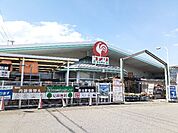 その他「コメリハード＆グリーン上山田店まで900m」