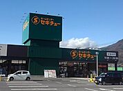 その他「ホームセンター　セキチューまで450m」