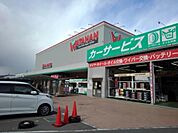 その他「綿半スーパーセンター千曲店まで1100m」