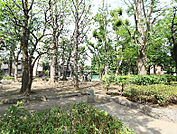 千住仲町公園（236m）