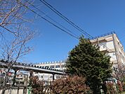 足立区立青井小学校（442m）