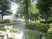 あみだ橋公園（481m）