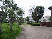 ベルモント公園（438m）