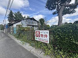 現地