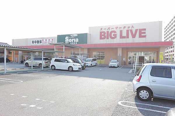 画像30:BIGLIVEみなと店 768m