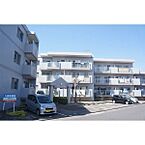 愛知県名古屋市中川区新家3丁目3401：物件画像／部屋セレブ高畑店　株式会社S-point