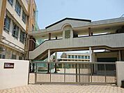 日比野中学校 1261m