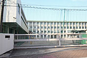 白鳥小学校 919m